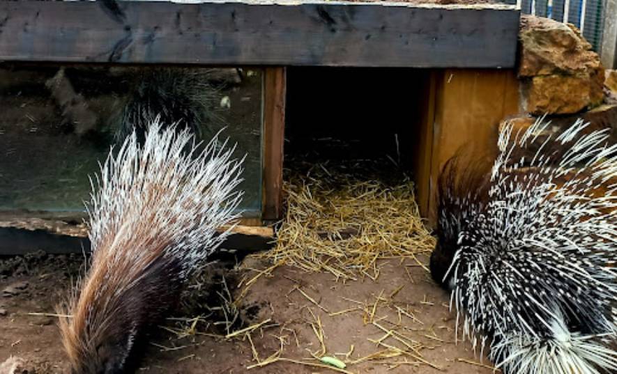 Locksmith in Messingham, Messingham Locksmith, The Handy Locksmith Messingham one of the sights of the Messingham area from your locksmith in Messingham